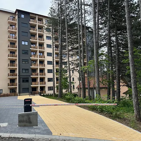 A79 * Zlatibor